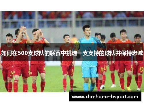 如何在500支球队的联赛中挑选一支支持的球队并保持忠诚