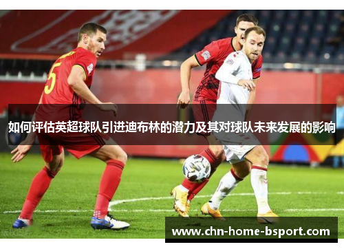 如何评估英超球队引进迪布林的潜力及其对球队未来发展的影响