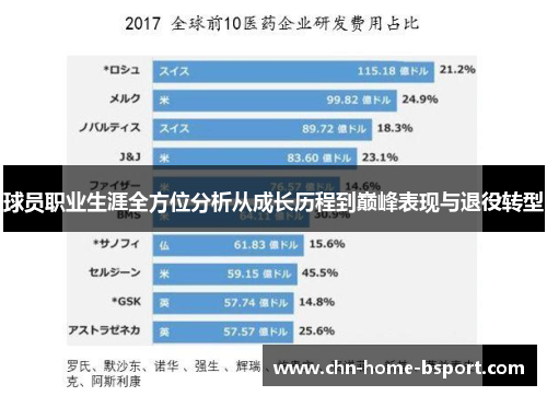 球员职业生涯全方位分析从成长历程到巅峰表现与退役转型
