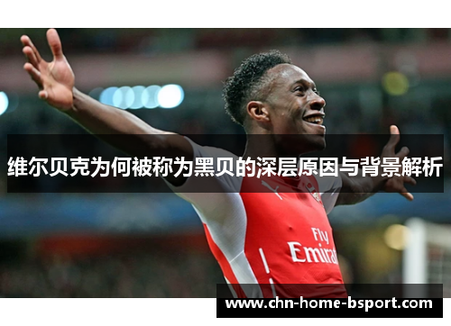 维尔贝克为何被称为黑贝的深层原因与背景解析