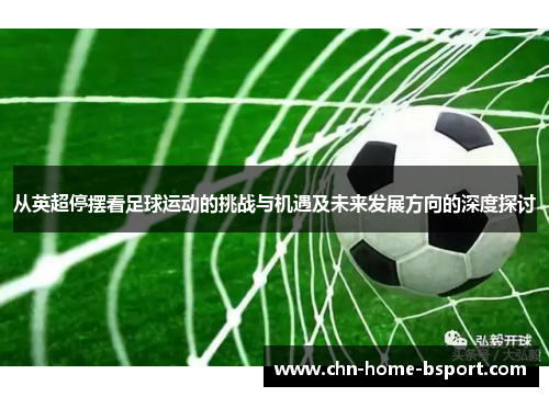 从英超停摆看足球运动的挑战与机遇及未来发展方向的深度探讨