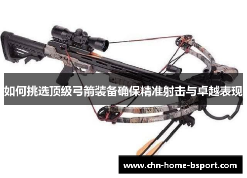 如何挑选顶级弓箭装备确保精准射击与卓越表现